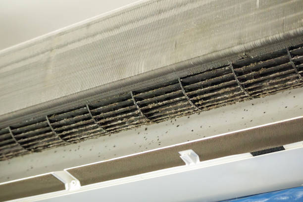 Best HVAC Air Duct Cleaning  in Dickinson, ND